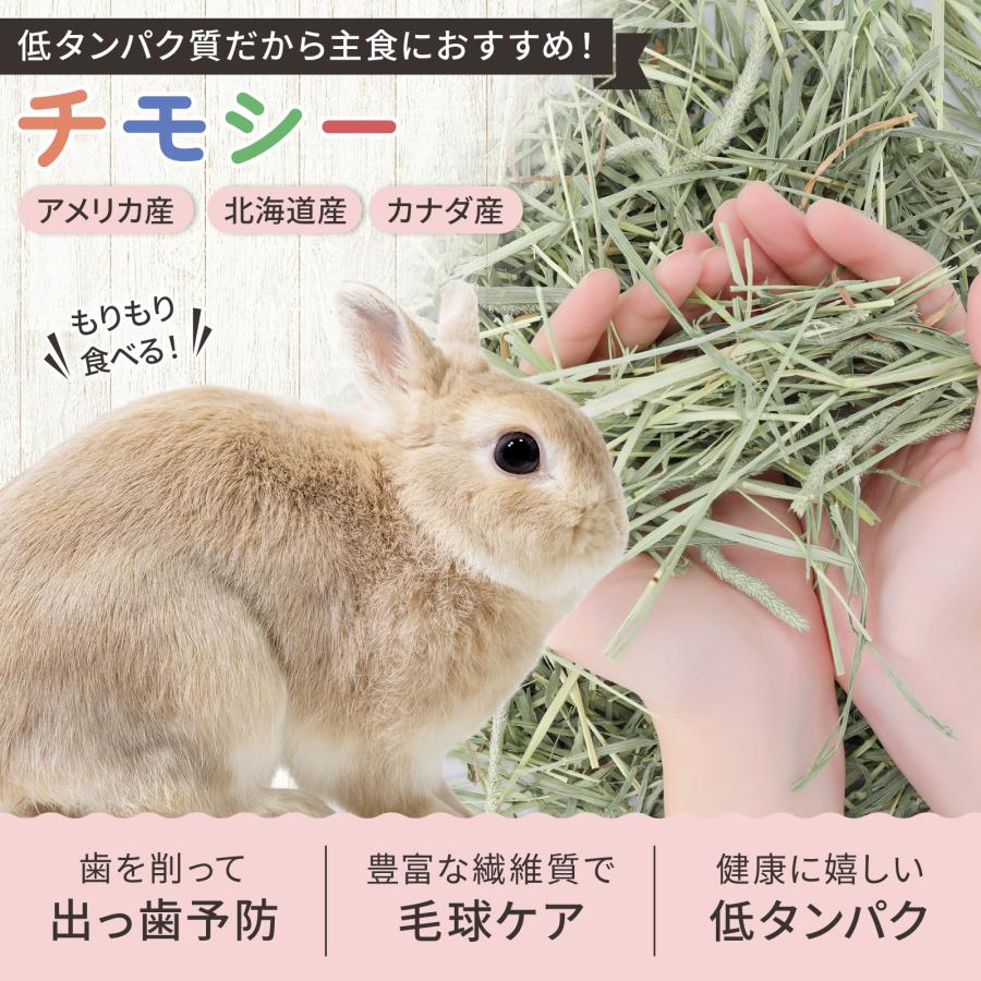 牧草王国 うさぎ 牧草 チモシー 特選プレミアム アメリカ産 2番刈り