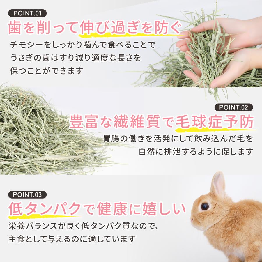 家計応援価格】US産 チモシー 60kg 2番刈 ソフトSプレミアム 牧草王国