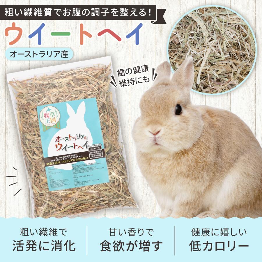 牧草王国 うさぎ 牧草 オーストラリア産 特選ウイートヘイ 500g ウサギ