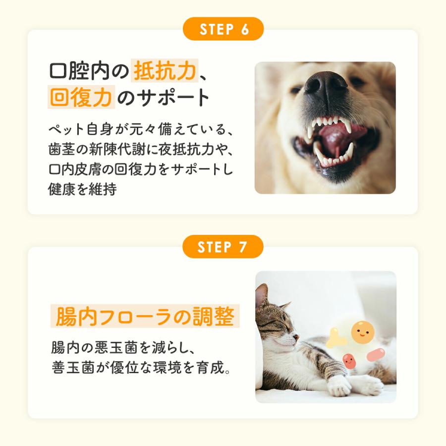 PET LINK MORE（ペットリンクモア） 公式 犬 猫 歯磨き 口腔ケアサプリ