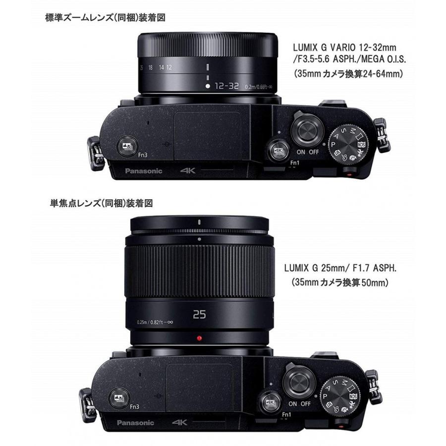 パナソニック Panasonic ルミックス DC-GF10 12-32mm レンズキット