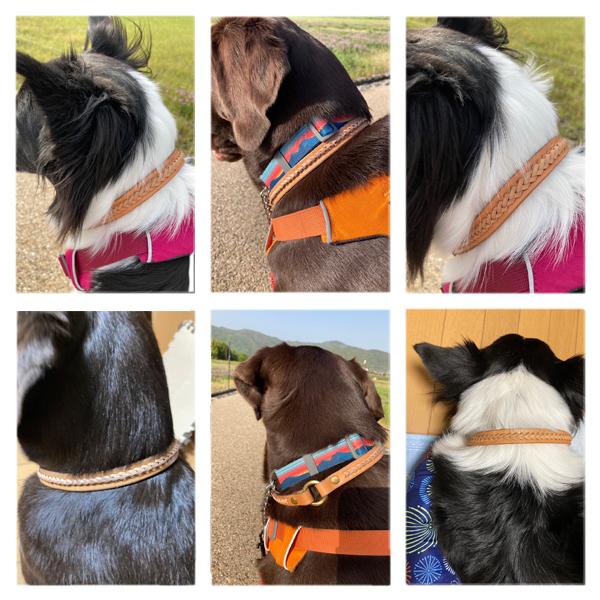 犬 猫 首輪 チョーカー 編込み ハンドメイド カガリ縫い 小型犬 中型犬