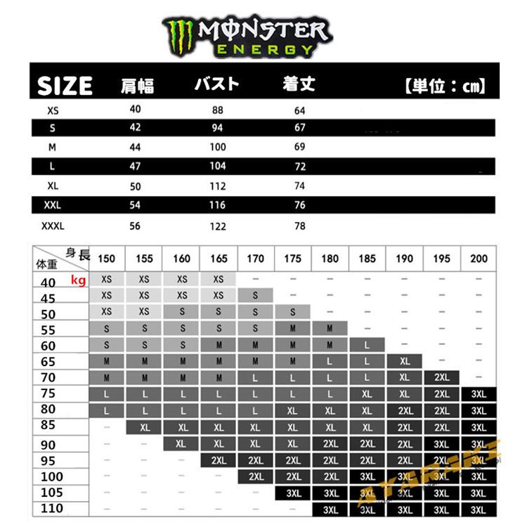 X-LARGE×Hi-STANDARD×モンスターエナジー　Tシャツ　Lサイズ モンスターエナジー ☓ Hi-STANDARDプレゼントキャンペーン