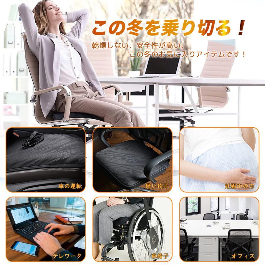 ご愛顧感謝祭 ホットクッション ホットカーシート 電源USB接続タイプ 