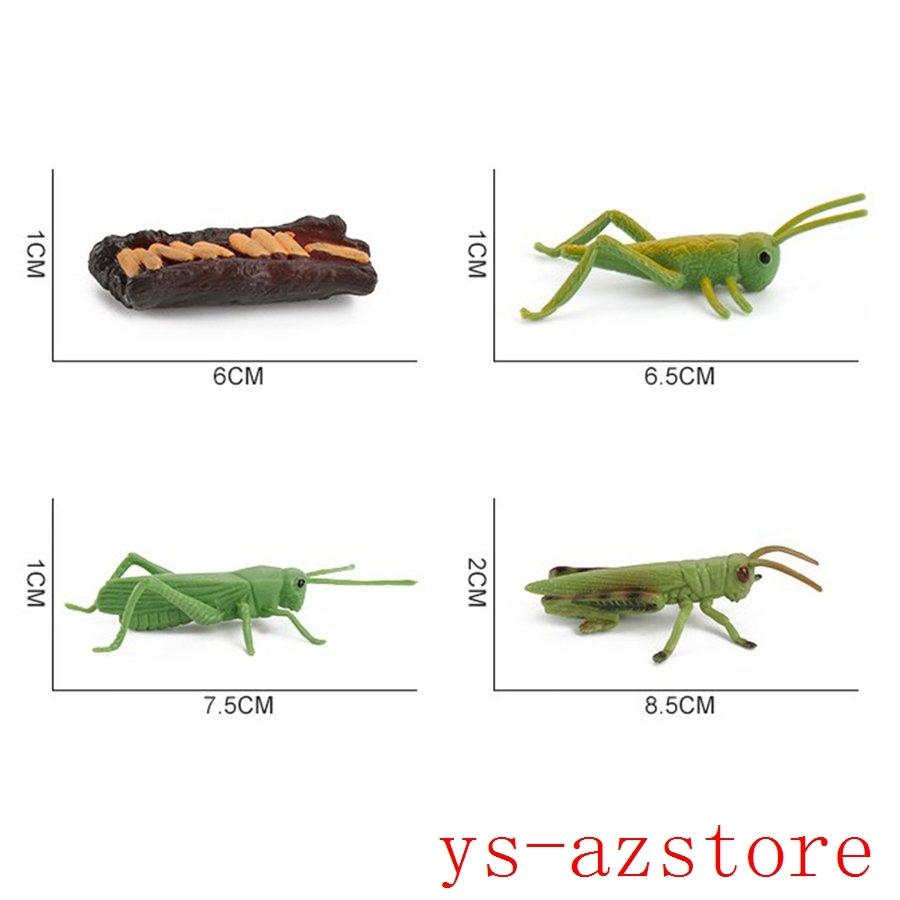 リアルな昆虫バッタ カタツムリ動物の成長ライフサイクルフィギュアプレイセット子供就学前のイマジネーションおもちゃロールプレイをテーマにしたパーティー Az 6390vmtoa Azstore 通販 Yahoo ショッピング