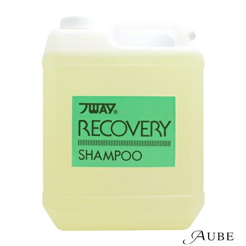 パイウェイ リカバリー シャンプー＆トリートメント πWEY ニューウェイジャパン パイウェイ リカバリー シャンプー 4000ml