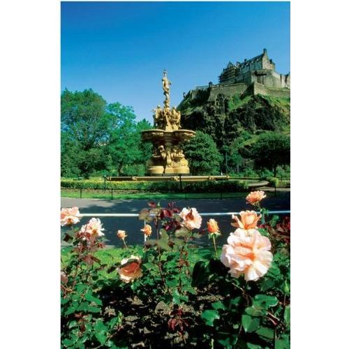 送料込 土の入れ替え不要 １００ 植物性有機 土壌改良材ヴァラリス バイオポスト 1 5kg ３袋セット 在庫限り Www Simon Page Com