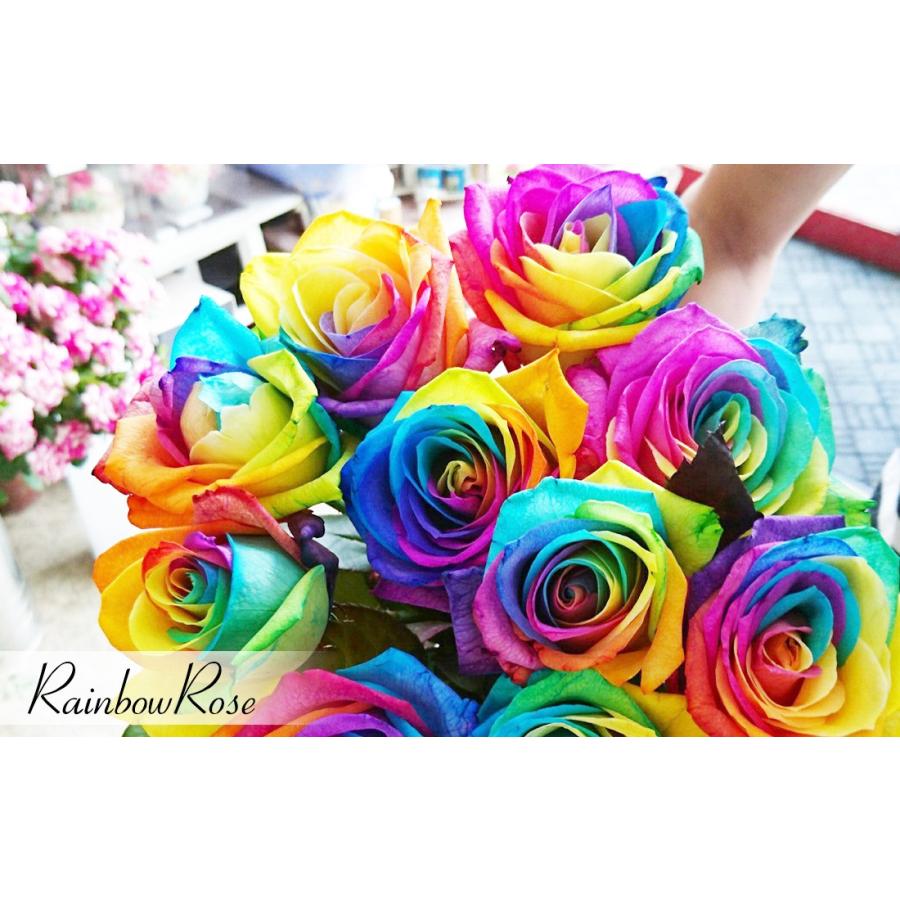 レインボーローズ 最短翌日発送可能 めずらしい七色の薔薇 ブルーローズとの組み合わせも可能です 誕生日 結婚のプレゼントに 七色のバラ Ysーflower 通販 Yahoo ショッピング