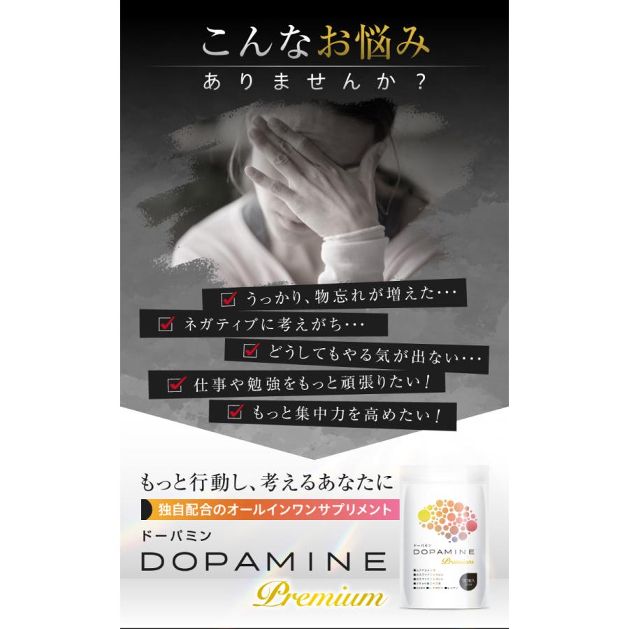 ドーパミン Premium ムクナ豆 サプリメント ホスファチジルセリン ホスファチジルコリン イチョウ葉エキス L-チロシン GABA 60日分 L-ドーパ 40% 2袋セット｜ys-online｜03