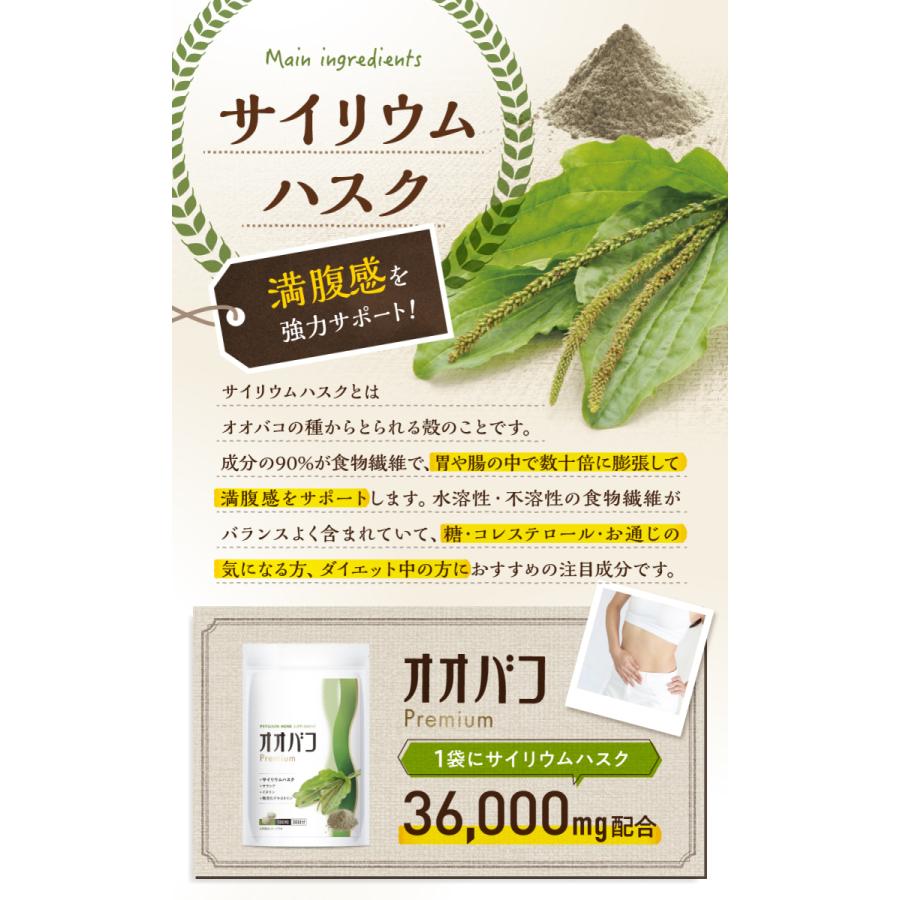 最旬ダウン オオバコ サイリウムハスク サラシア イヌリン 難消化デキストリン オオバコpremium mg 厳選4種配合 180粒 30日分 腸活 食物繊維 ダイエット Flyingjeep Jp