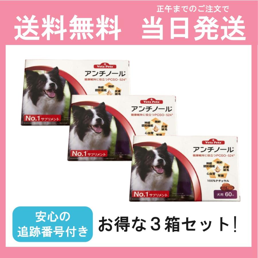 猫用アンチノール 30粒 3箱 www.poltekkes-bsi.ac.id