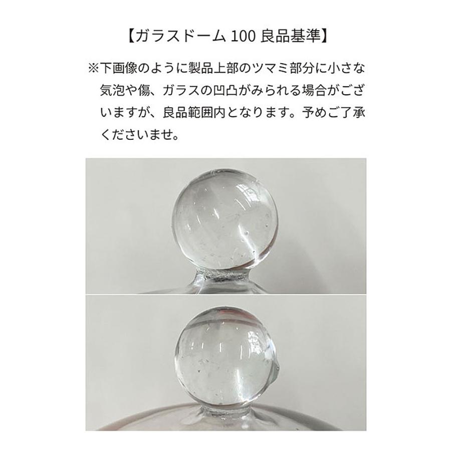 ガラスドーム100 北欧 キッチン 蓋 ガラス 透明 クリア ディスプレイ