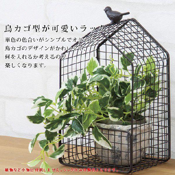 鳥かご ラック プランターラック 鳥かご収納 鳥カゴ収納 フラワーラック 観葉植物置き オシャレ おしゃれ かわいい 可愛い シンプル インテリア 演出 Azmy2868 レトロおしゃれ雑貨家具のプリズム 通販 Yahoo ショッピング