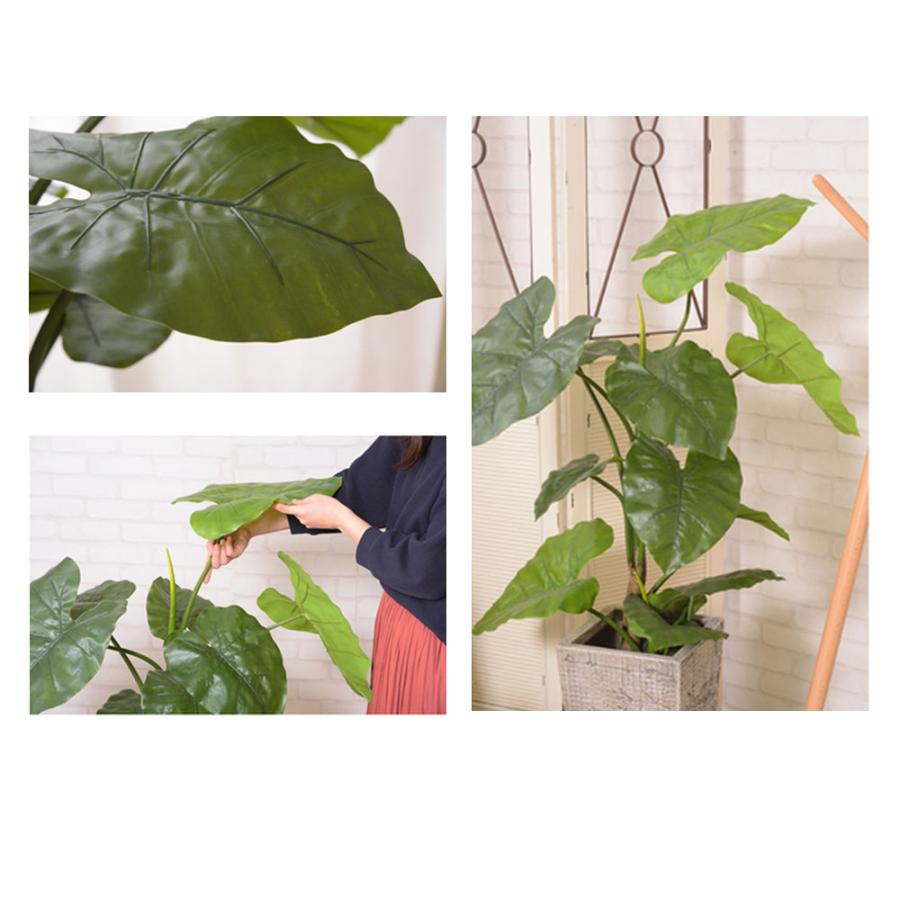 楽天市場 フェイクグリーン クワズイモ 観葉植物 グリーンオブジェ インテリアオブジェ 鉢植え おしゃれ インテリア かわいい クワズイモ 造花 植木 葉っぱ 高い品質 Mobile Scotturb Com