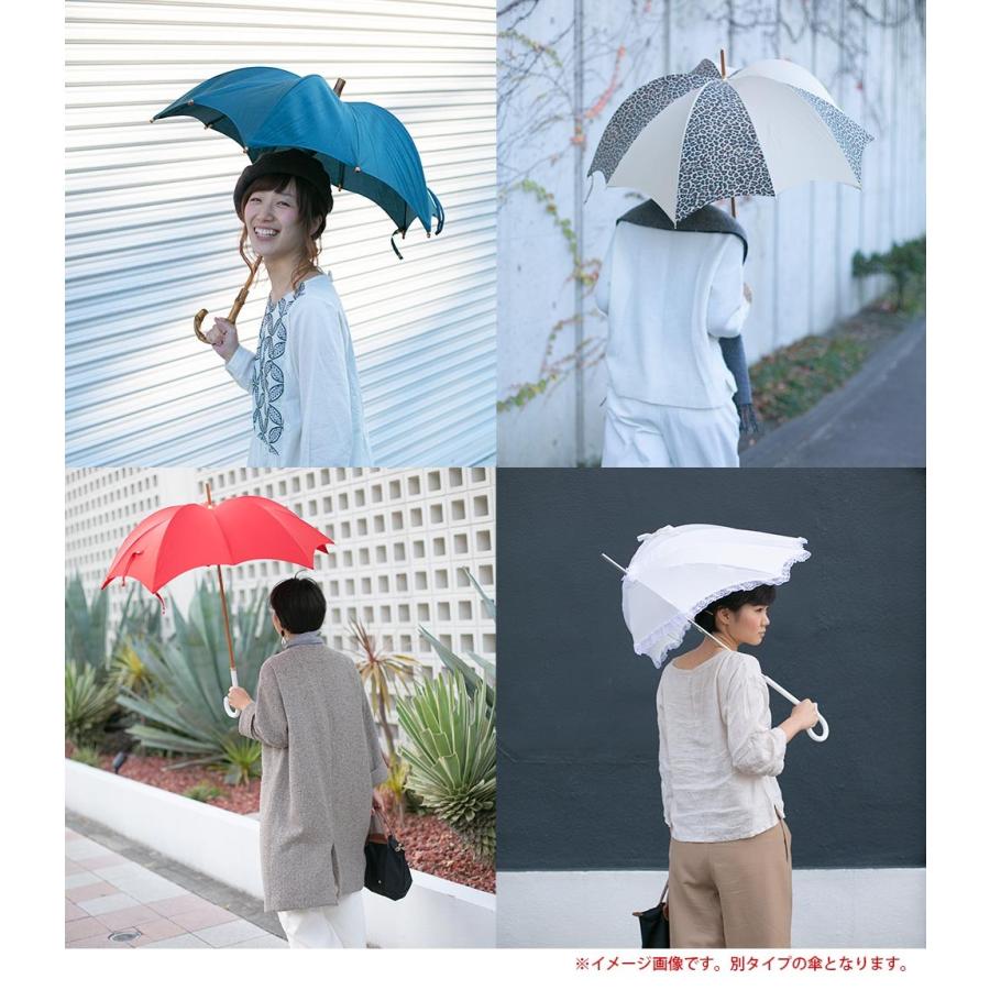 RhythmPumpkin 雨傘 LADIES MEZZO DiCesare Designs ディチェザレ
