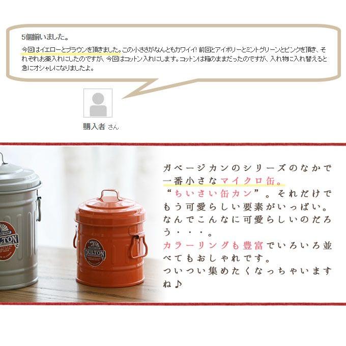 DULTON（ダルトン） マイクロ缶 小物入れ 小物収納 鉛筆立て カン ペン