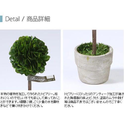Dulton ダルトン ボックスウッド トピアリー ボール S ミニ観葉植物 トピアリー ツゲの木 置き物 置物 つげ 手作り ハンドメイド かわいい 父 Dltn0735 レトロおしゃれ雑貨家具のプリズム 通販 Yahoo ショッピング