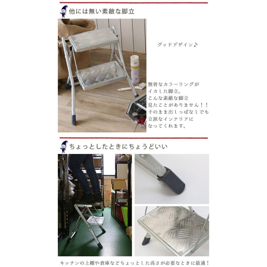 DULTON ダルトン フォールディング 2ステップラダー ガルバナイズド