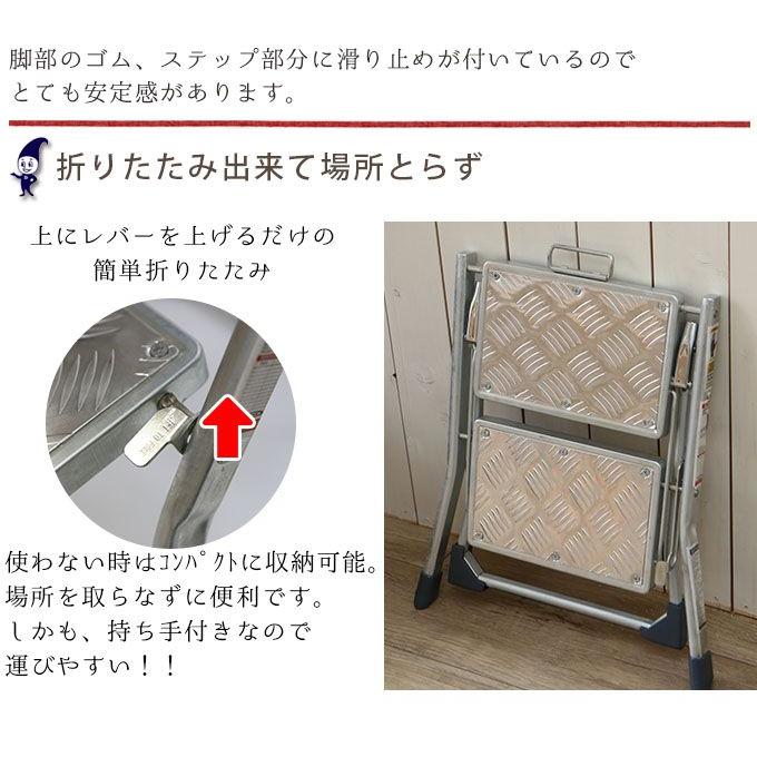 DULTON ダルトン フォールディング 2ステップラダー ガルバナイズド
