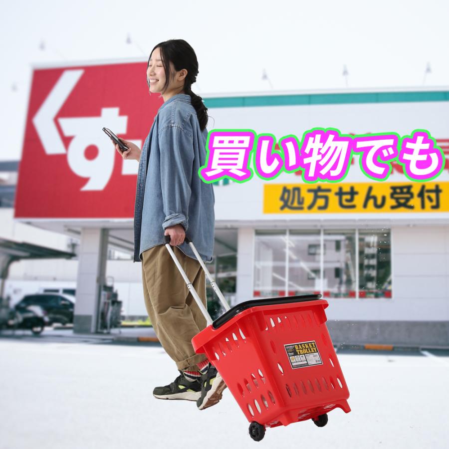 バスケット トローリー Basket Trolley キャンプやショッピング 荷物を詰め込んで Br Dbl Iv Lbl Or Rd 荷物運び Dltn14 レトロおしゃれ雑貨家具のプリズム 通販 Yahoo ショッピング