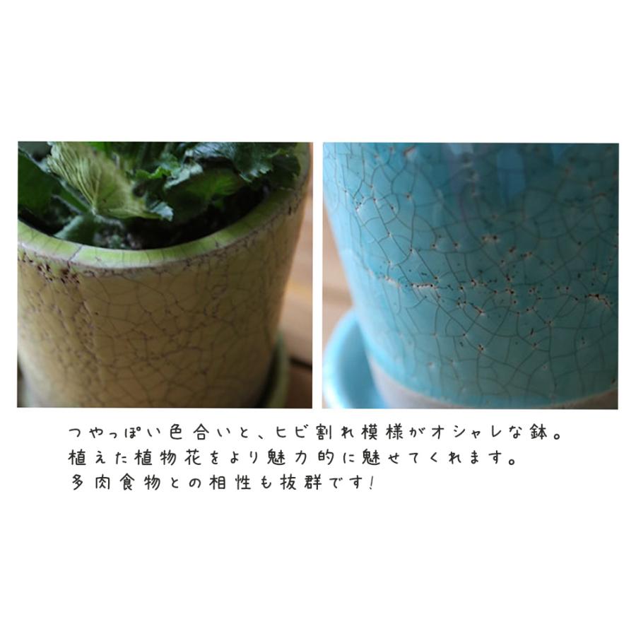 DULTON ダルトン カラーグレーズポット 植木鉢 鉢 フラワーポット 多肉