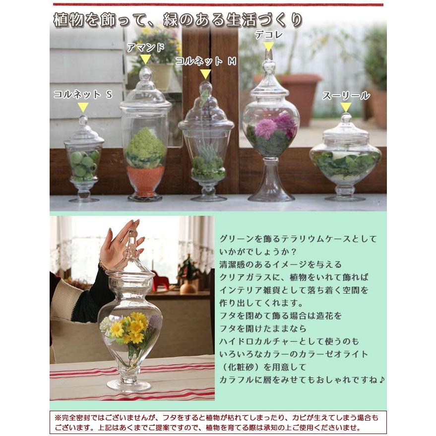 新品 DULTON ガラスジャー 容器 ダルトン ガラス ジャー ドレサージュ DULTON ダルトン ガラスジャー ドレサージュ 保存容器 ガラス容器