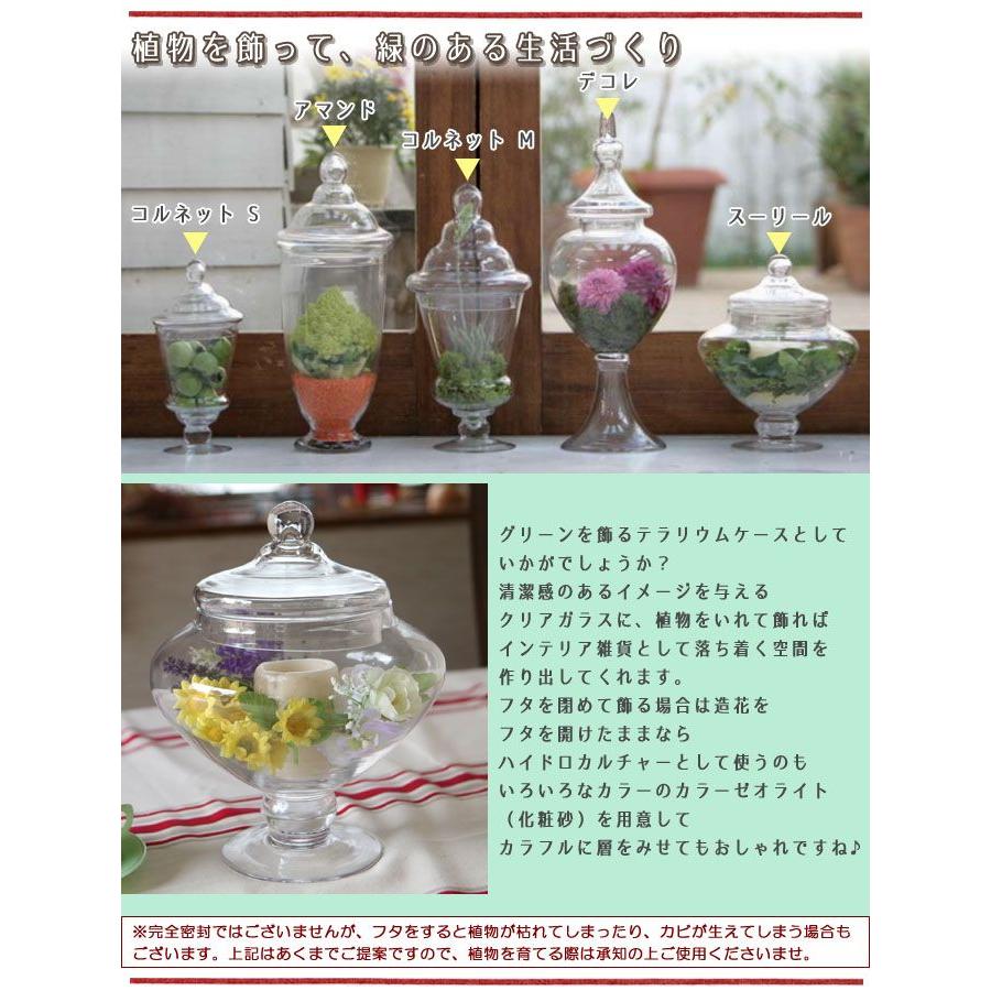 DULTON ダルトン ガラスジャー スーリール 保存容器 保存瓶 ガラス容器