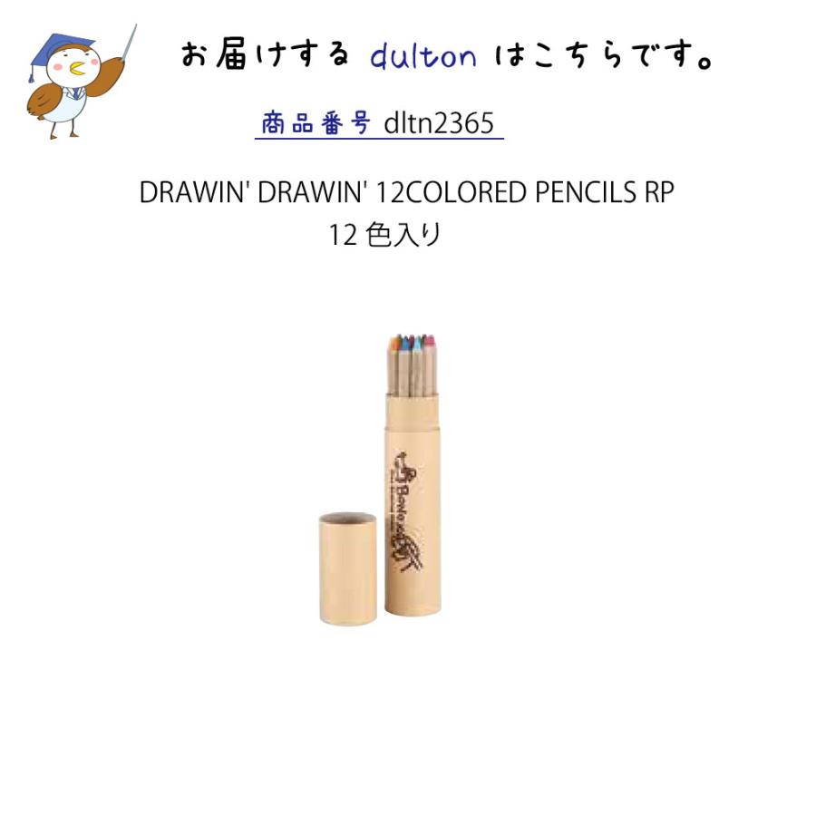 DULTON（ダルトン） 12色 カラーペンシル 色鉛筆 カラーペンシルセット