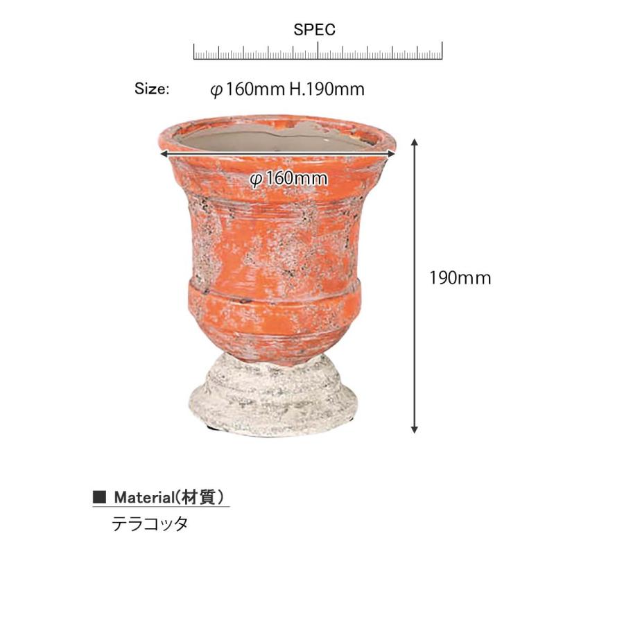 アラゴン オレンジポット S 植木鉢 鉢植え プランター 観葉植物 多肉
