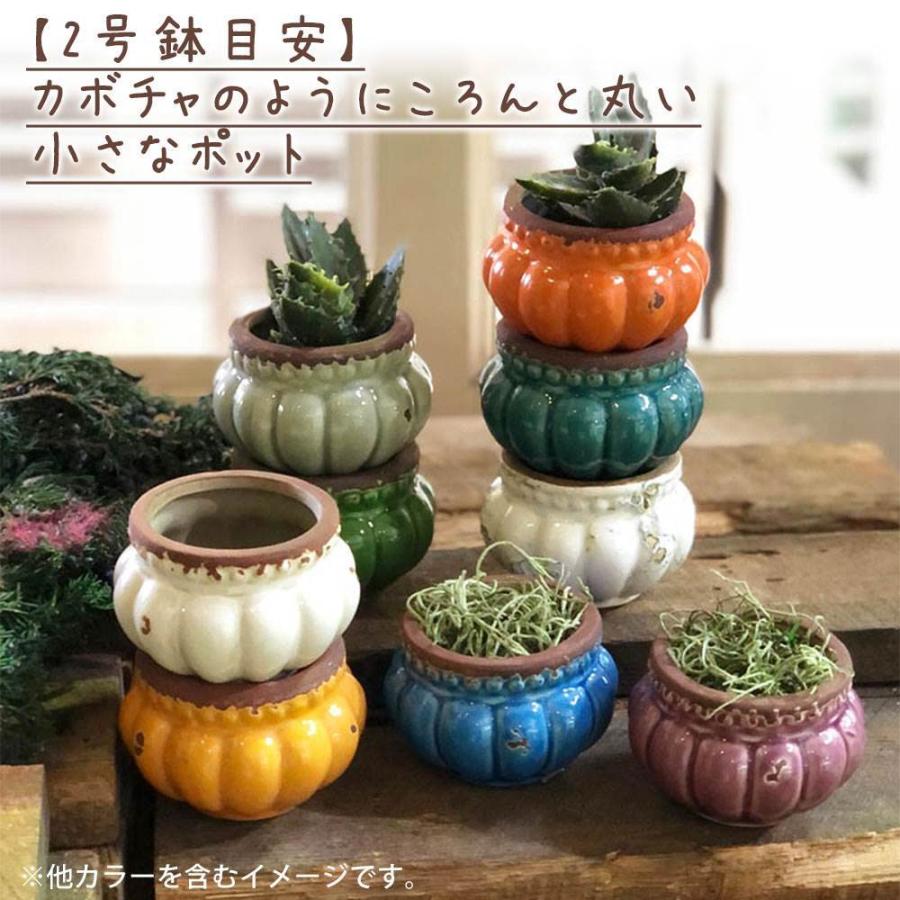 プランプリー ポット ダルトン Dulton 植木鉢 鉢 鉢植え 陶器鉢 オレンジ ブルー セラミック 陶器 おしゃれ 可愛い かわいい 小さい 小型 か Dltn3507 レトロおしゃれ雑貨家具のプリズム 通販 Yahoo ショッピング