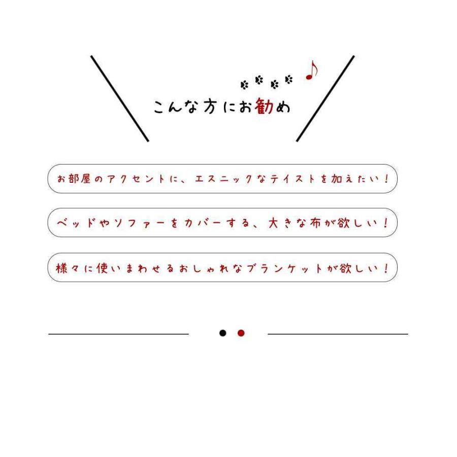 メキシカン スロー DULTON ダルトン ラグ ブランケット ラグマット