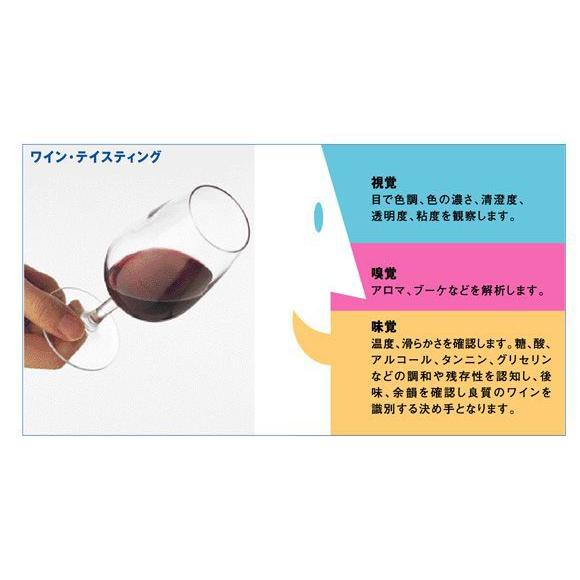 国立原産地名称研究所INAO テイスティンググラス 210cc 6脚セット