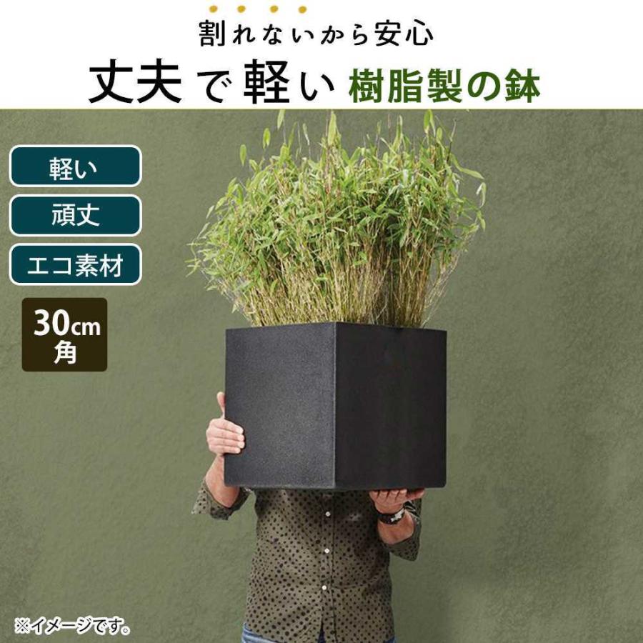 軽量 プランター 30cm角 正方形 スクエア型 四角 植木鉢カバー 植木鉢カバー 鉢 鉢カバー 植木鉢 おしゃれ お洒落 シンプル 高級感 大きい｜ys-prism｜02