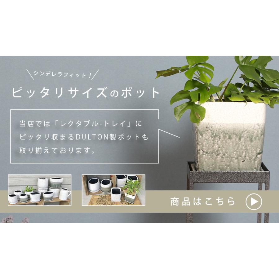 A+ (アクセントプラス) プランタースタンド Rectable Tray レクタブル