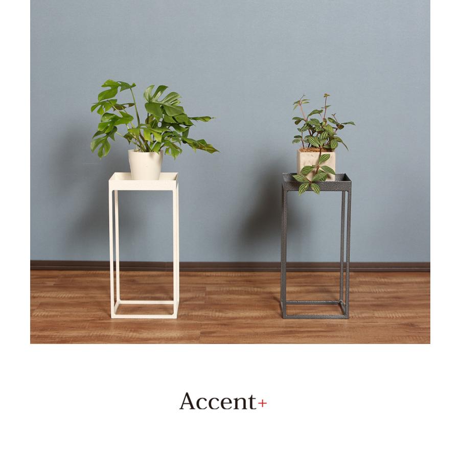 A+ (アクセントプラス) プランタースタンド Rectable Tray レクタブル