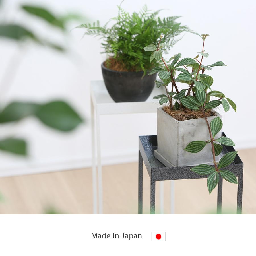 A+ (アクセントプラス) プランタースタンド Rectable Tray レクタブル