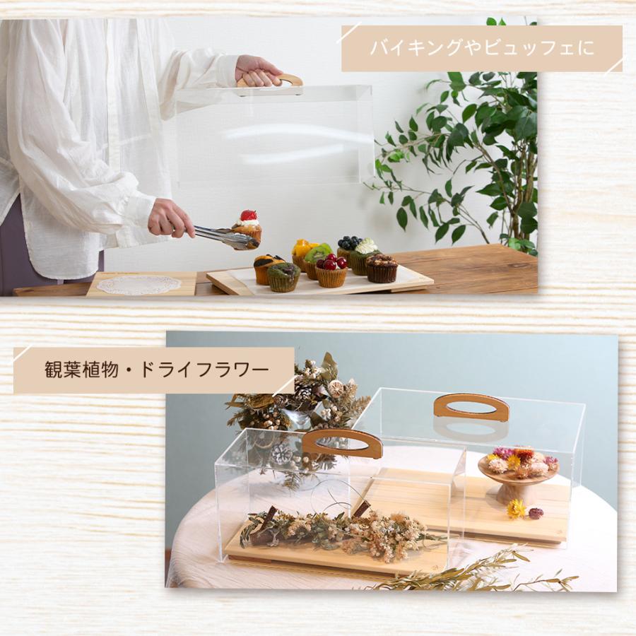 ショーケース L 日本製 ケーキディスプレイ 食品 お菓子 ケーキ ショーケース L 日本製 ケーキディスプレイ 食品 お菓子 ケーキ