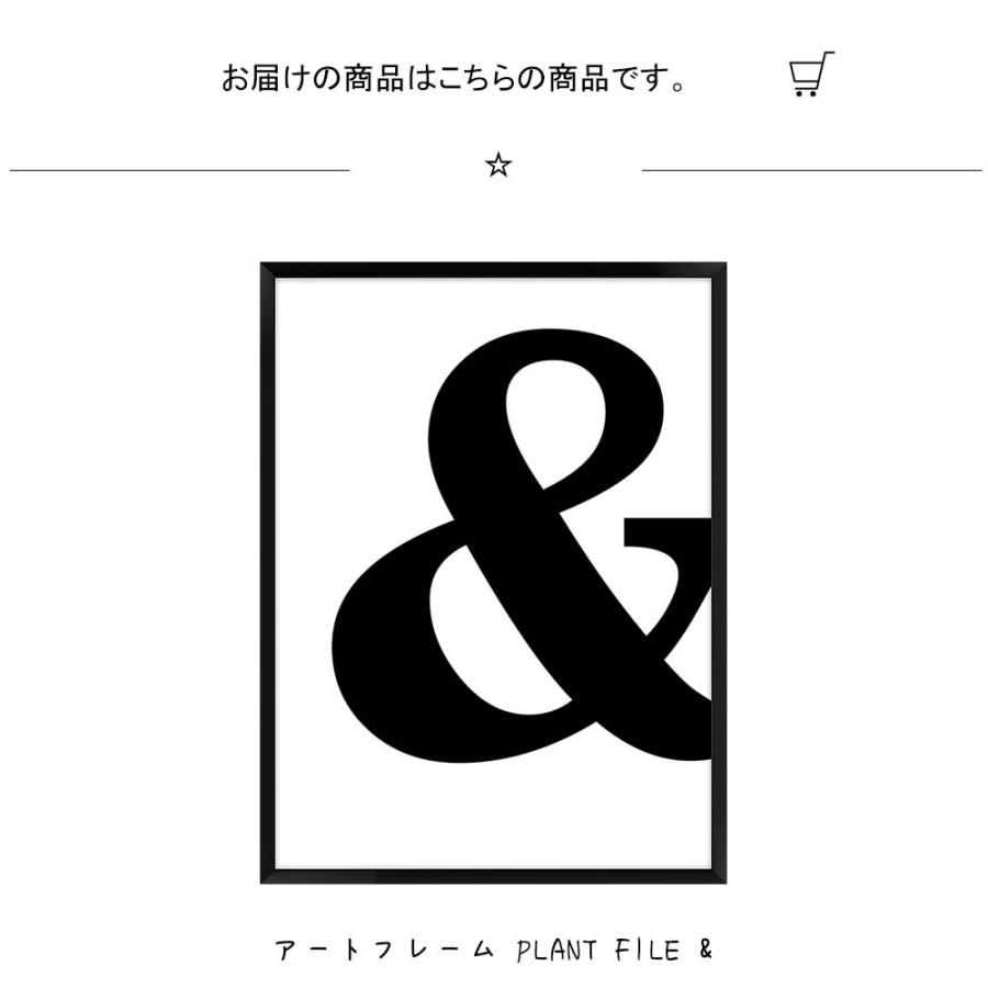 アートフレーム Plant File 壁掛け 絵画 横300mm 縦400mm 壁飾り 額縁 ポスター フレーム パネル おしゃれ 飾る 記念 Sinw2312 レトロおしゃれ雑貨家具のプリズム 通販 Yahoo ショッピング