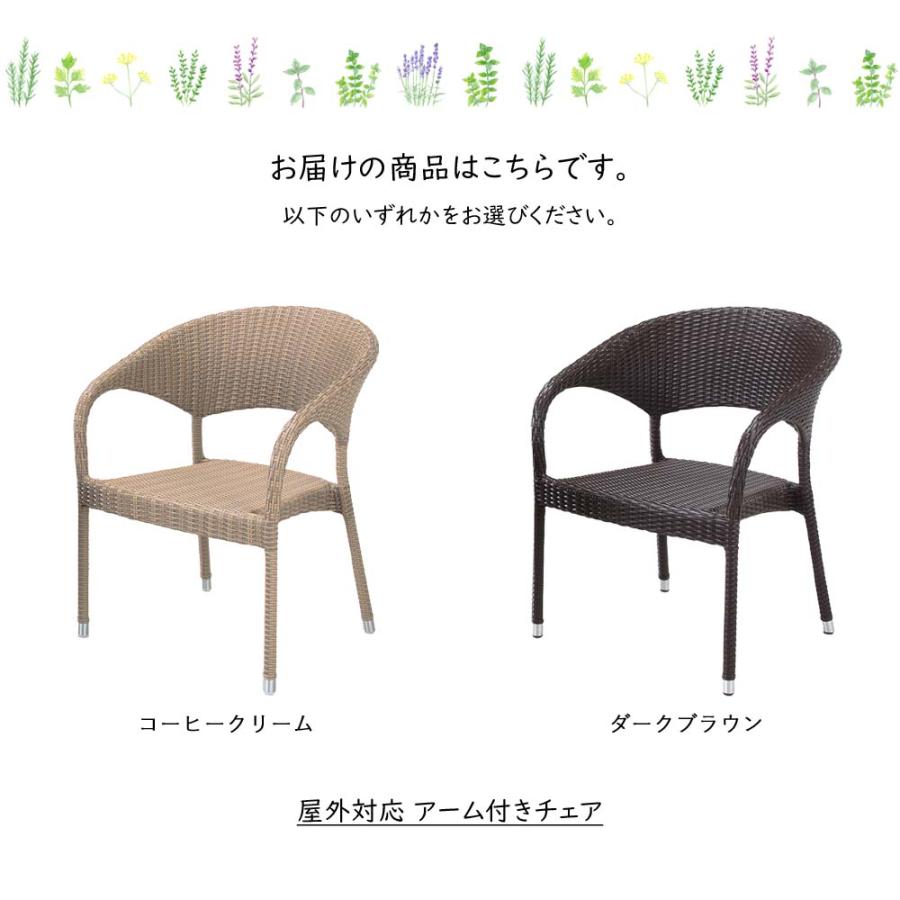 ダークブラウン アーム付きチェア 楽天市場】ACME Furniture アクメファニチャー WINDAN SIDE