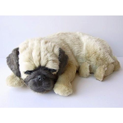 ニニアンドキノ パーフェクトペット パグ Lサイズ 約36cm ぬいぐるみ 犬 リアル 本物そっくり スヤスヤ息をしてるようにお腹が動く Rsa071y2zknw Rosea 通販 Yahoo ショッピング