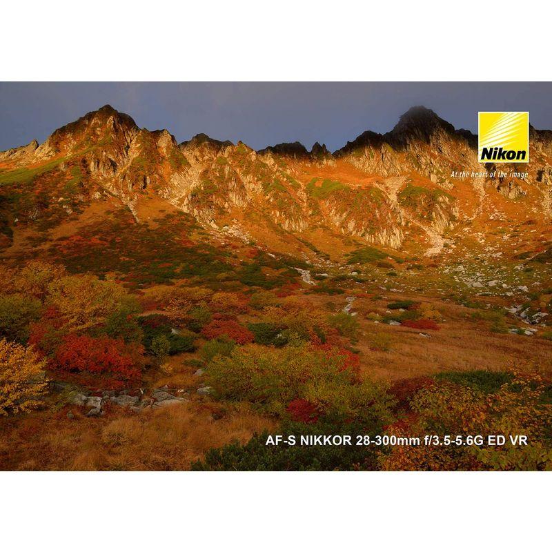 匿名配送 Nikon 高倍率ズームレンズ AF-S NIKKOR 28-300mm f/3.5-5.6G ED VR フルサイズ対応 【ZY1539984929】(56202円)