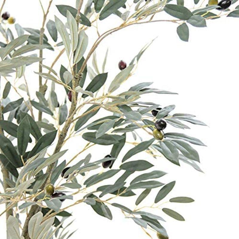 造花ドットコム プレミアム 光触媒 消臭 フェイクグリーン 「表裏で色が異なるシルバーグリーンの葉色が特徴 リアル オリーブ 高さ170cm 造花ドットコム プレミアム 光触媒 消臭 フェイクグリーン 表裏で色が異なるシルバーグリーンの葉色が特徴 リアル オリーブ 高さ170cm