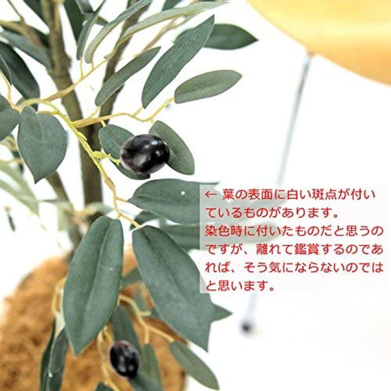 造花ドットコム プレミアム 光触媒 消臭 フェイクグリーン 「表裏で色が異なるシルバーグリーンの葉色が特徴 リアル オリーブ 高さ170cm 造花ドットコム プレミアム 光触媒 消臭 フェイクグリーン 表裏で色が異なるシルバーグリーンの葉色が特徴 リアル オリーブ 高さ170cm