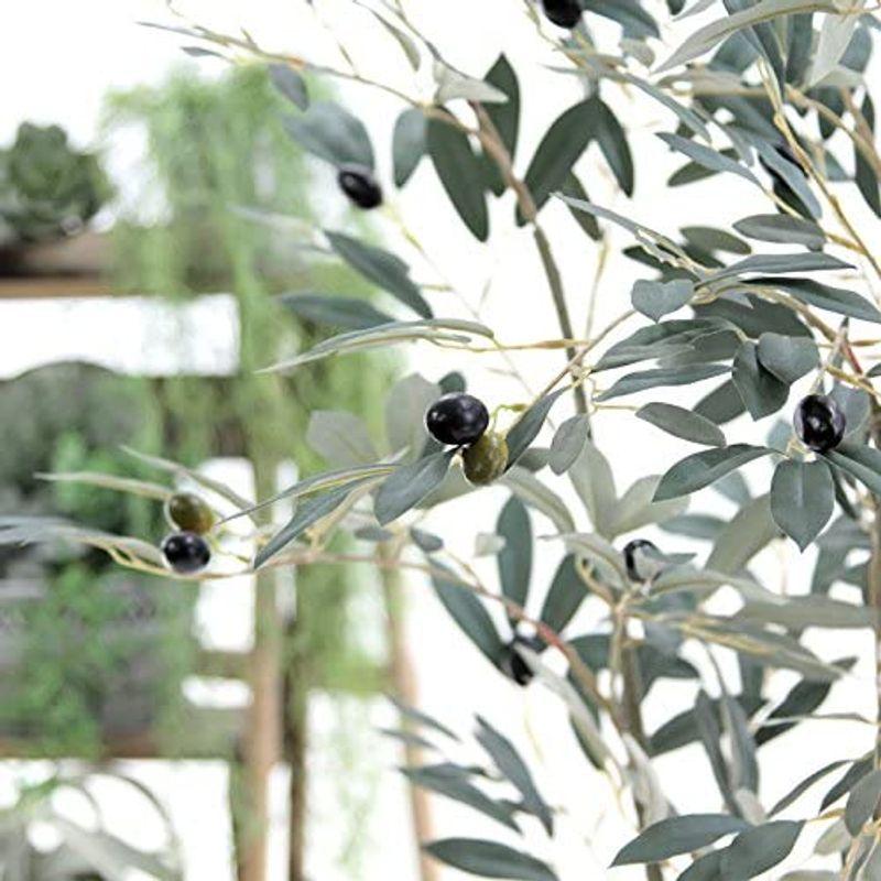 造花ドットコム プレミアム 光触媒 消臭 フェイクグリーン 「表裏で色が異なるシルバーグリーンの葉色が特徴 リアル オリーブ 高さ170cm 造花ドットコム プレミアム 光触媒 消臭 フェイクグリーン 表裏で色が異なるシルバーグリーンの葉色が特徴 リアル オリーブ 高さ170cm