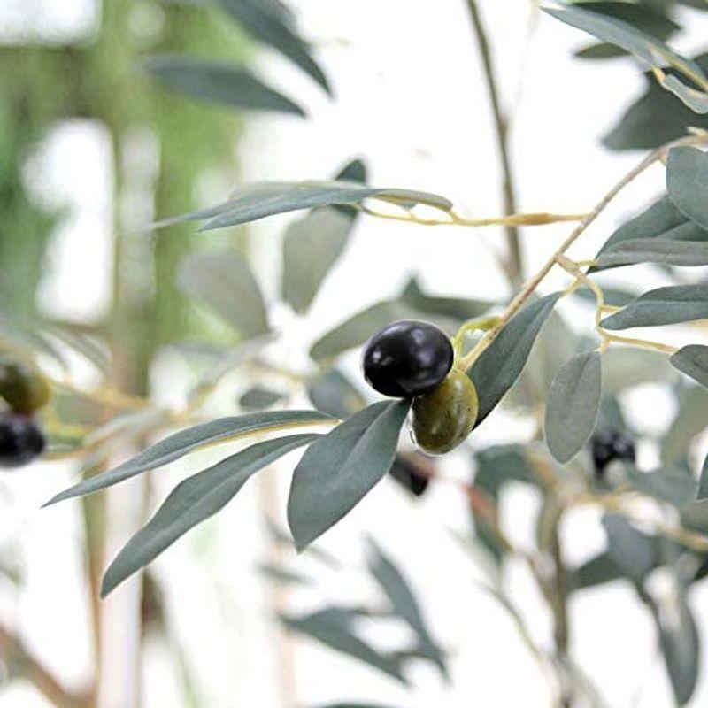 造花ドットコム プレミアム 光触媒 消臭 フェイクグリーン 「表裏で色が異なるシルバーグリーンの葉色が特徴 リアル オリーブ 高さ170cm 造花ドットコム プレミアム 光触媒 消臭 フェイクグリーン 表裏で色が異なるシルバーグリーンの葉色が特徴 リアル オリーブ 高さ170cm