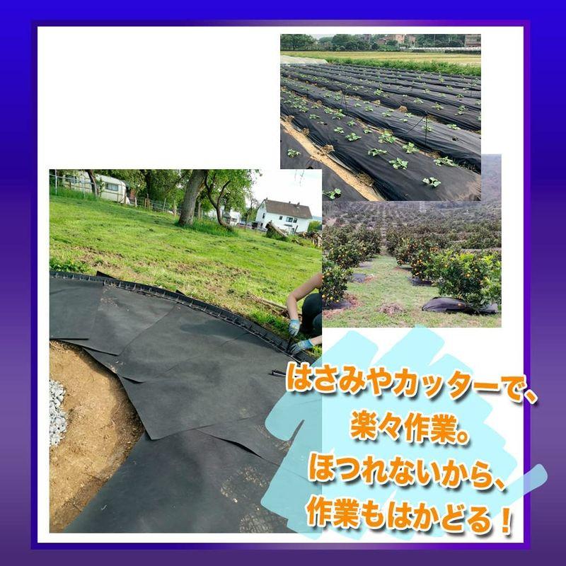 NITTO SEKKO 防草シート 除草シート 雑草対策 (2m×50m， 150B) SEKKO 防草シート 除草シート 雑草対策 2m×50m， 150B 　