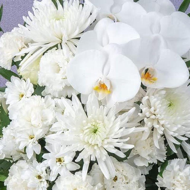 日比谷花壇 お供え アレンジメント「睡蓮花(すいれんか)」TA1087 花 フラワー ギフト お悔やみ お供え 供花 命日 お彼岸 お盆 お供え アレンジメント 睡蓮花 すいれんか TA1087 花 フラワー ギフト お悔やみ 供花 命日 お彼岸 お盆 商品説明 　