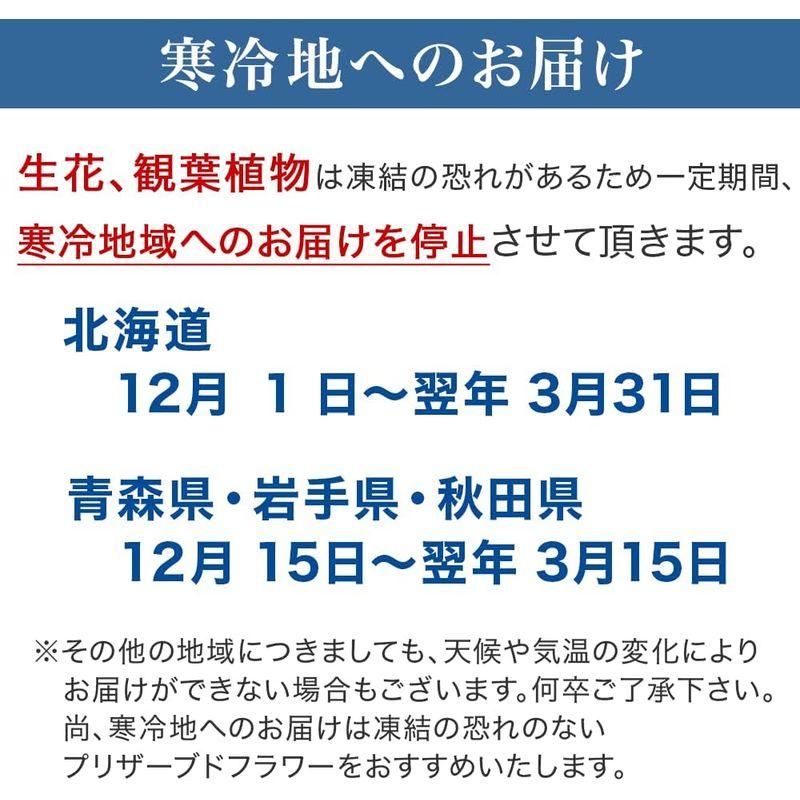 日比谷花壇 お供え アレンジメント「睡蓮花(すいれんか)」TA1087 花 フラワー ギフト お悔やみ お供え 供花 命日 お彼岸 お盆 お供え アレンジメント 睡蓮花 すいれんか TA1087 花 フラワー ギフト お悔やみ 供花 命日 お彼岸 お盆 商品説明 　