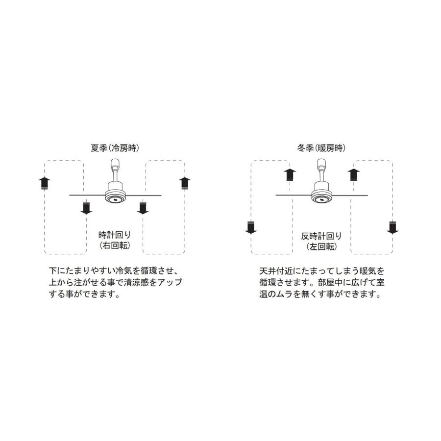 003329 DUCT RAIL FAN DC plus 50 Black BRID brid サーキュレーター ダクトレールファン ダクトレール専用 シーリングファン ダクトレールファン DCの画像