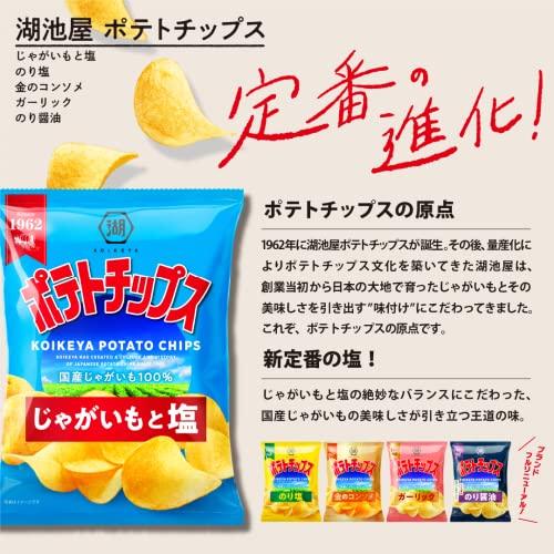 湖池屋 ポテトチップス じゃがいもと塩 60g?12袋 : SoyBeans - 通販